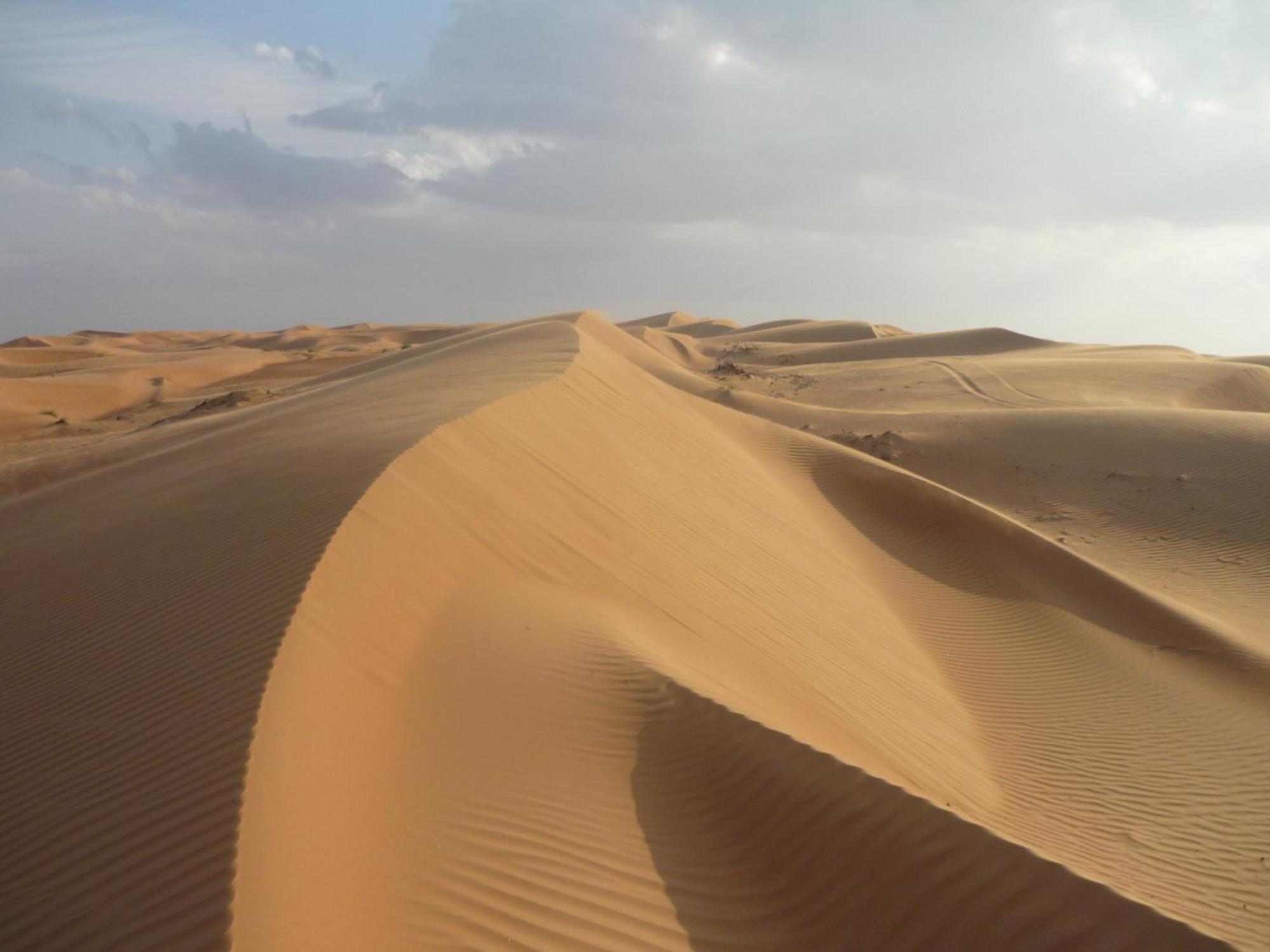 Desert Retreat Camp Al Wāşil Exteriér fotografie